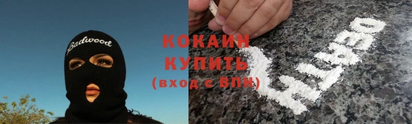 ECSTASY Белокуриха