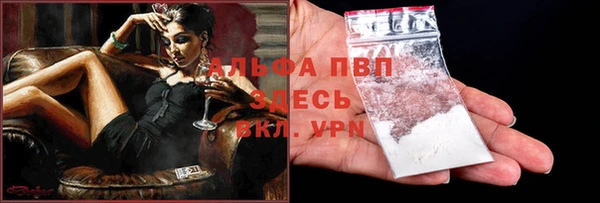 ECSTASY Белокуриха