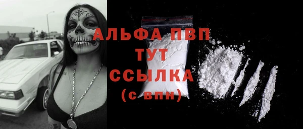 ECSTASY Белокуриха