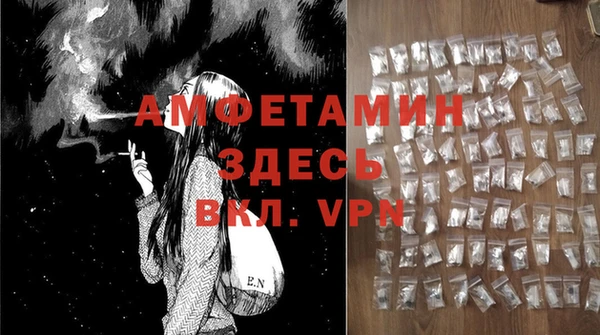 молекула духа Белоозёрский