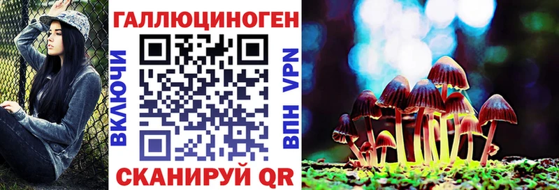 Галлюциногенные грибы Psilocybe Горняк