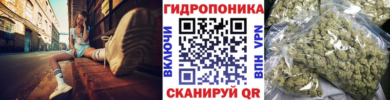 где найти   Горняк  МАРИХУАНА ГИДРОПОН 